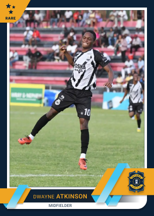  rare card image