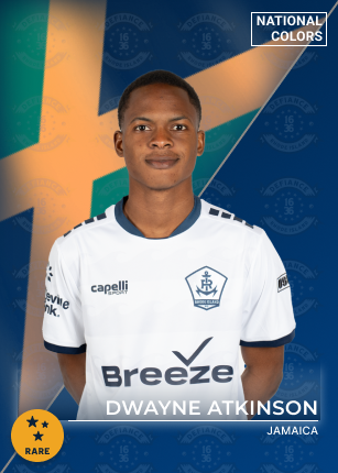  rare card image